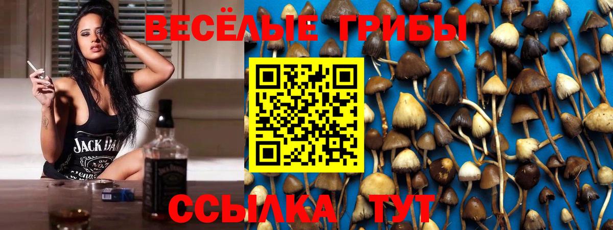 Тольятти  Псилоцибиновые грибы прущие грибы  Псилоцибиновые грибы ЛСД  Вход с VPN 