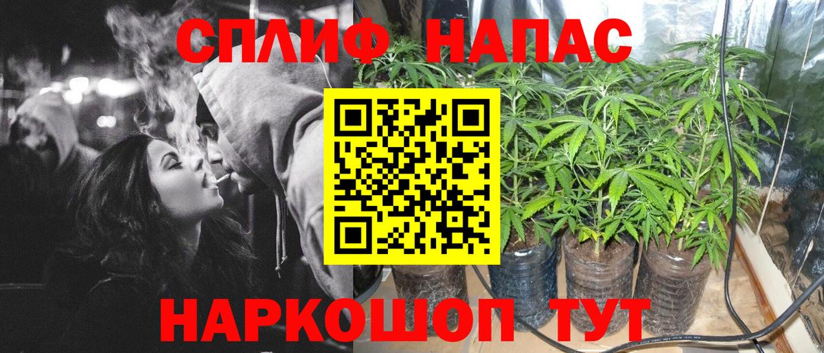 Конопля индика  Каннабис Ganja  Вход с VPN  Конопля OG Kush  Канабис SATIVA & INDICA  Тольятти 